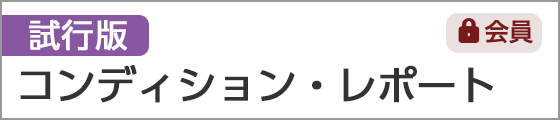 試作版　コンディション・レポート